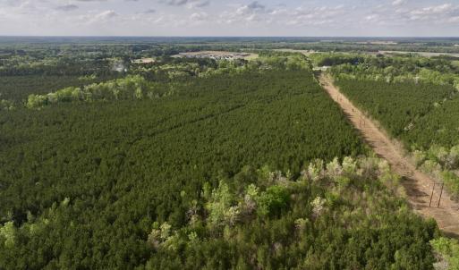 Photo #1 of Off NC 33 E, Grimesland, NC 131.0 acres