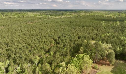 Photo #2 of Off NC 33 E, Grimesland, NC 131.0 acres