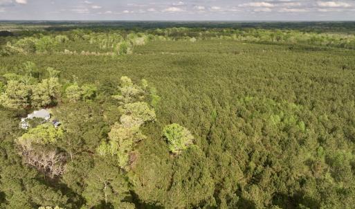 Photo #3 of Off NC 33 E, Grimesland, NC 131.0 acres