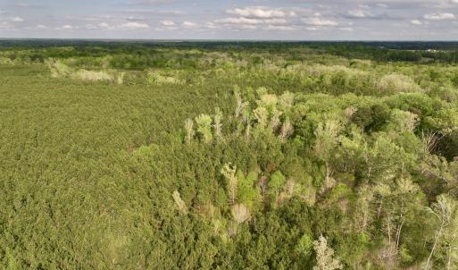 Photo #4 of Off NC 33 E, Grimesland, NC 131.0 acres