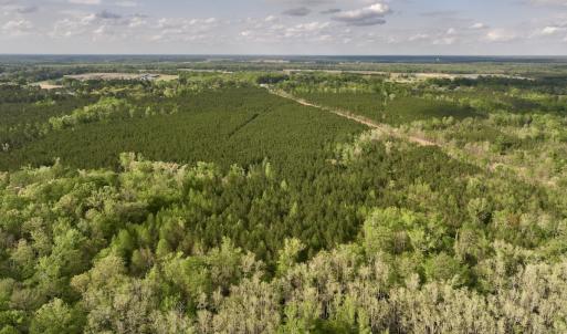 Photo #5 of Off NC 33 E, Grimesland, NC 131.0 acres