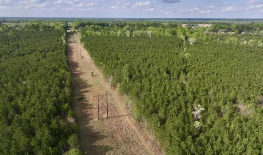 Photo #6 of Off NC 33 E, Grimesland, NC 131.0 acres