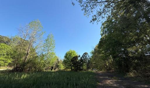 Photo #10 of 5829 Flower Hill Road, Kenly, NC 4.9 acres