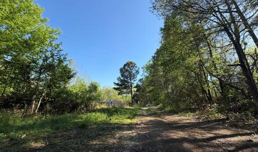 Photo #11 of 5829 Flower Hill Road, Kenly, NC 4.9 acres