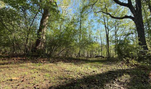Photo #17 of 5829 Flower Hill Road, Kenly, NC 4.9 acres