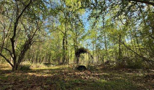 Photo #18 of 5829 Flower Hill Road, Kenly, NC 4.9 acres