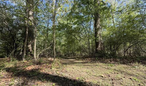 Photo #19 of 5829 Flower Hill Road, Kenly, NC 4.9 acres