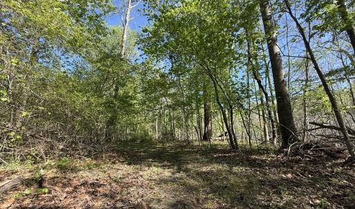 Photo #20 of 5829 Flower Hill Road, Kenly, NC 4.9 acres