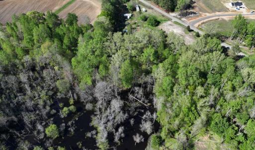 Photo #5 of 5829 Flower Hill Road, Kenly, NC 4.9 acres