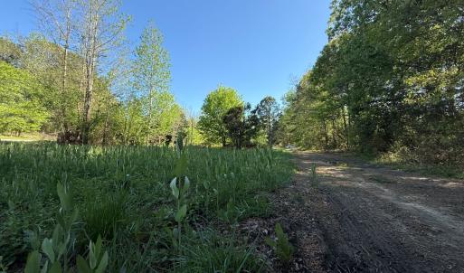 Photo #9 of 5829 Flower Hill Road, Kenly, NC 4.9 acres