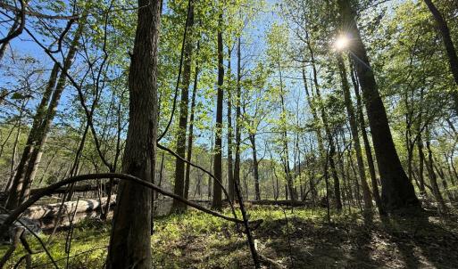 Photo #23 of 5829 Flower Hill Road, Kenly, NC 4.9 acres