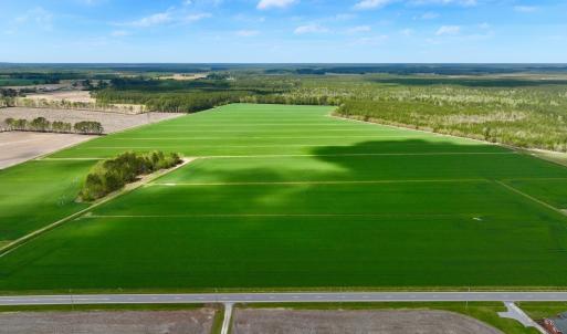 Photo #1 of 973 Mosely Road, Washington, NC 117.0 acres