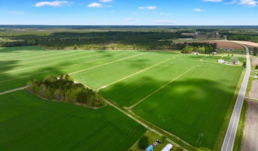 Photo #11 of 973 Mosely Road, Washington, NC 117.0 acres