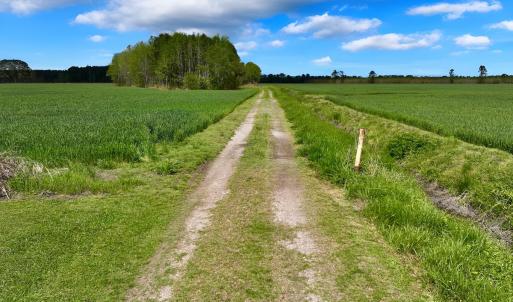 Photo #12 of 973 Mosely Road, Washington, NC 117.0 acres