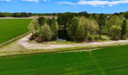 Photo #14 of 973 Mosely Road, Washington, NC 117.0 acres