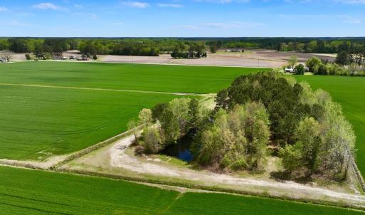 Photo #19 of 973 Mosely Road, Washington, NC 117.0 acres
