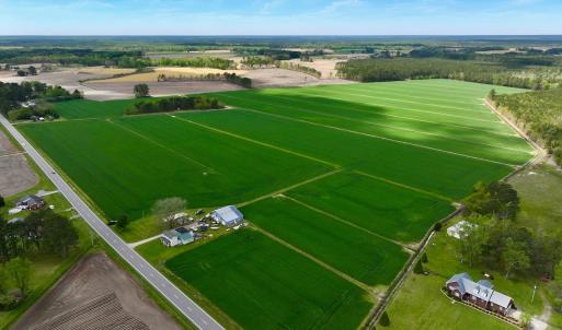 Photo #2 of 973 Mosely Road, Washington, NC 117.0 acres