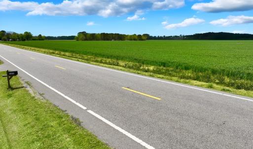 Photo #23 of 973 Mosely Road, Washington, NC 117.0 acres