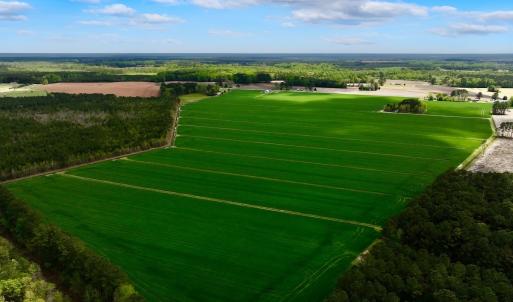 Photo #5 of 973 Mosely Road, Washington, NC 117.0 acres