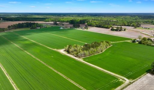 Photo #8 of 973 Mosely Road, Washington, NC 117.0 acres