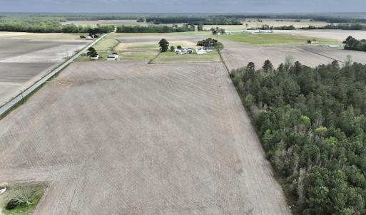 Photo #10 of Off Vandiford Thomas Road, Snow Hill, NC 60.8 acres