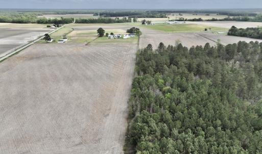 Photo #11 of Off Vandiford Thomas Road, Snow Hill, NC 60.8 acres