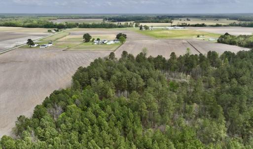 Photo #13 of Off Vandiford Thomas Road, Snow Hill, NC 60.8 acres