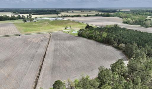 Photo #19 of Off Vandiford Thomas Road, Snow Hill, NC 60.8 acres