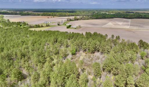Photo #20 of Off Vandiford Thomas Road, Snow Hill, NC 60.8 acres