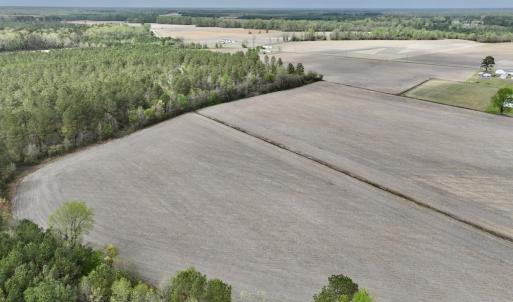 Photo #22 of Off Vandiford Thomas Road, Snow Hill, NC 60.8 acres