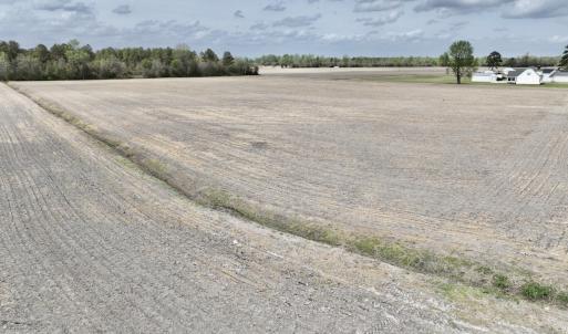 Photo #24 of Off Vandiford Thomas Road, Snow Hill, NC 60.8 acres