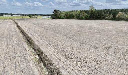 Photo #27 of Off Vandiford Thomas Road, Snow Hill, NC 60.8 acres