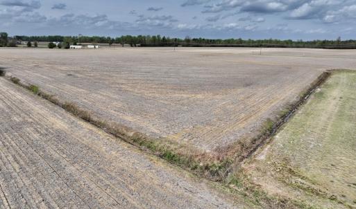 Photo #29 of Off Vandiford Thomas Road, Snow Hill, NC 60.8 acres