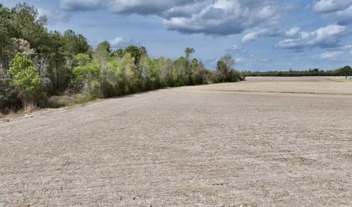 Photo #33 of Off Vandiford Thomas Road, Snow Hill, NC 60.8 acres
