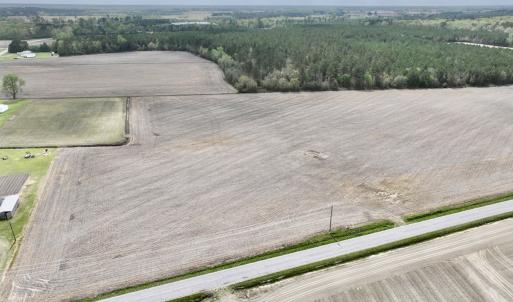 Photo #5 of Off Vandiford Thomas Road, Snow Hill, NC 60.8 acres