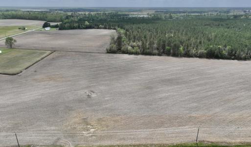 Photo #6 of Off Vandiford Thomas Road, Snow Hill, NC 60.8 acres