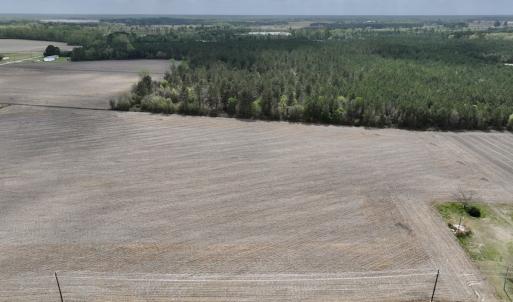 Photo #7 of Off Vandiford Thomas Road, Snow Hill, NC 60.8 acres