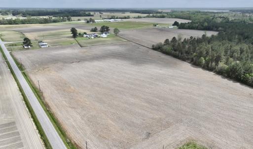 Photo #8 of Off Vandiford Thomas Road, Snow Hill, NC 60.8 acres