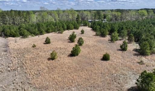 Photo #18 of Off Old Washington Road, Washington, NC 10.6 acres