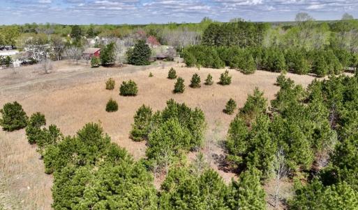 Photo #19 of Off Old Washington Road, Washington, NC 10.6 acres