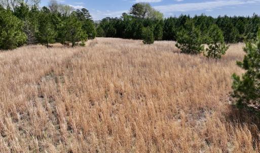 Photo #23 of Off Old Washington Road, Washington, NC 10.6 acres