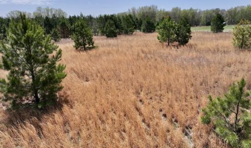 Photo #24 of Off Old Washington Road, Washington, NC 10.6 acres