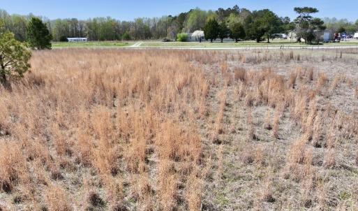 Photo #25 of Off Old Washington Road, Washington, NC 10.6 acres