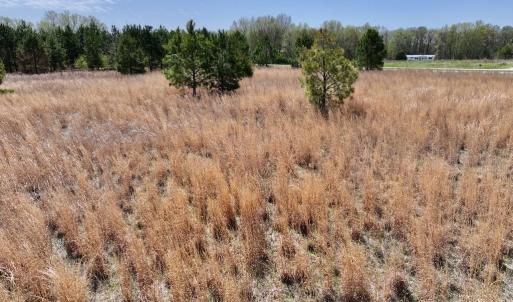 Photo #26 of Off Old Washington Road, Washington, NC 10.6 acres