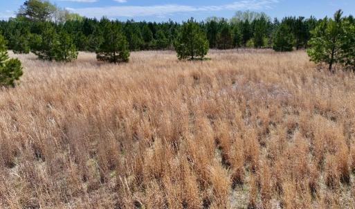 Photo #27 of Off Old Washington Road, Washington, NC 10.6 acres