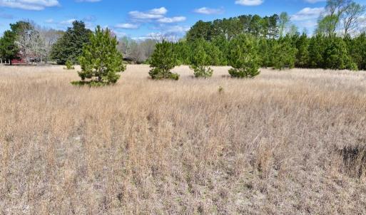 Photo #28 of Off Old Washington Road, Washington, NC 10.6 acres