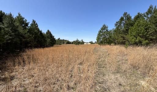 Photo #29 of Off Old Washington Road, Washington, NC 10.6 acres
