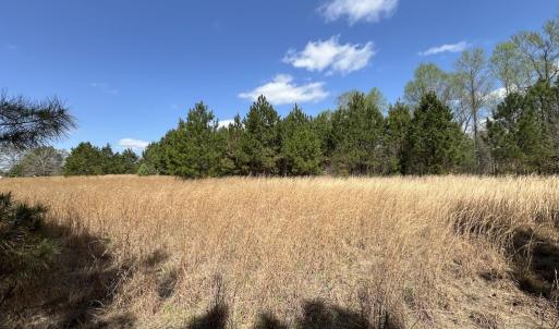Photo #30 of Off Old Washington Road, Washington, NC 10.6 acres