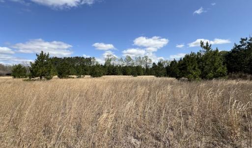 Photo #31 of Off Old Washington Road, Washington, NC 10.6 acres