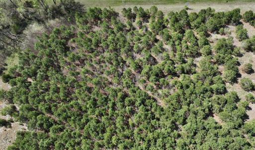 Photo #32 of Off Old Washington Road, Washington, NC 10.6 acres